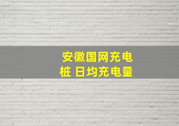 安徽国网充电桩 日均充电量